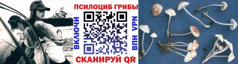 Псилоцибиновые грибы Magic Shrooms  ОМГ ОМГ зеркало  Моздок 